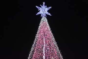 イルミネーション