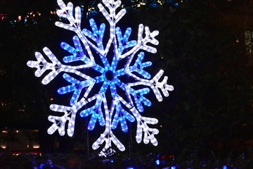 イルミネーション