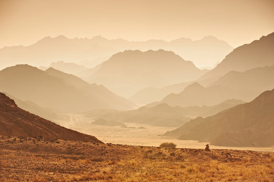 Valley in the Sinai desert © sandsun