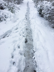Fototapeta na wymiar Path in the snow. Winter