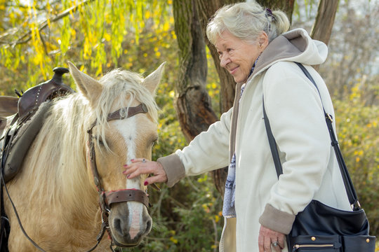 Portrait of a smiling old lady with a horse