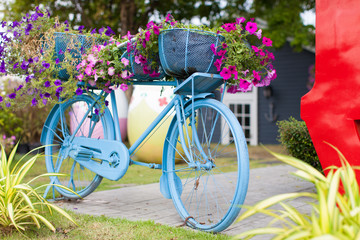 Fototapeta na wymiar Blue bicycle with flowers stand in a garden.