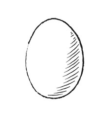 Egg vector icon isolated sketch pictogram