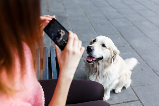 Image of woman on bench photographing dog