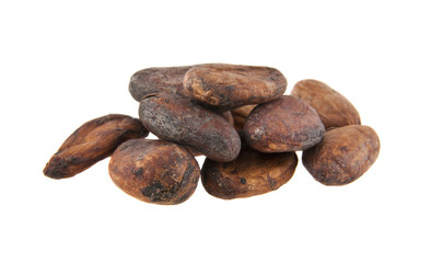 Fototapeta premium grains of cocoa isolated on white background