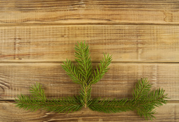 branch of a tree on a wooden background