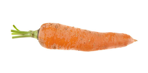 carrots isolated on white background closeup