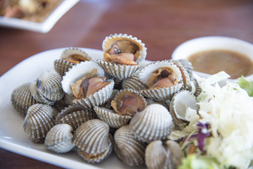 Fresh and delicious soft boiled blood cockles shell