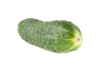 cucumber isolated on white background