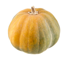 pumpkin isolated on white background