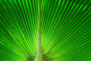 Obraz premium The splendor of nature