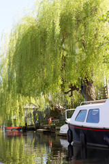 Naklejka premium London