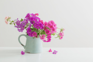 beautiful floxes in jug on white background