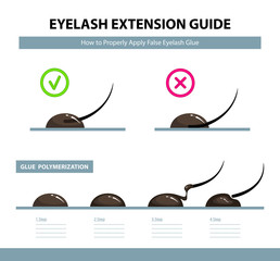 Eyelash extension guide. How to properly apply false eyelash glue. Glue  polymerization step by step. Infographic vector illustration. Training poster
