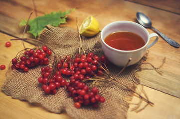 Fototapeta na wymiar Tea with viburnum. Tea for colds. Ethnoscience.