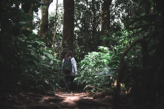 Fototapeta An Asian woman tourist walking and trekking in tropical forest