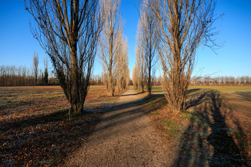 pista ciclabile nel parco del Lura - Lomazzo (Como)