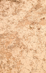 Scorpio desert sand cracks in the ground dry ground stones texture ruffle clay there is no rain drought