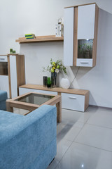 modern living room interior with closet and shelves