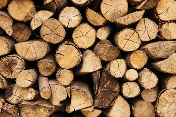 Wood background