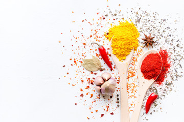 Spices in spoons and scattered on a white background with space for text