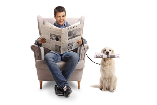 Young man seated in an armchair reading a newspaper and a labrador retriever with a newspaper
