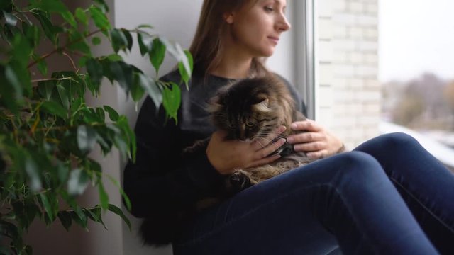 Happy woman sits on the window sill with a cat on her lap and strokes her fluffy fur