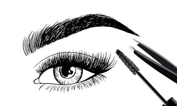 Beautiful eye and eyebrows with set of tools and accessories for care. Brush mascara for eyelashes and tweezers. Vector beauty industry design. Cosmetics logo, label, brand insignia signs template.