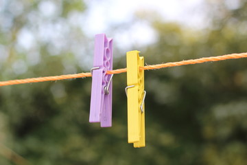 purple and yellow clothespin