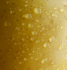 A yellow apple of variety is golden in drops of water close-up.