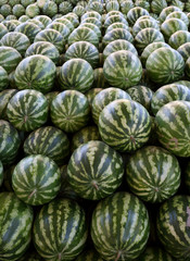 Fototapeta na wymiar Watermelons in the city market.Uzbekistan.