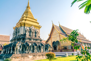 Fototapeta premium golden pagoda or stupa with elephants in thailand.