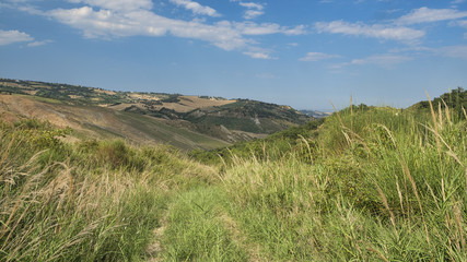 Summer landscape in Abruzzi near Pietranico
