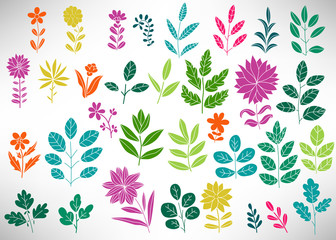 Floral Set of colorful doodle elements, tree branch, bush, plant, leaves, flowers, branches petals isolated on white. Collection of flourish elements for design. Vector illustration.