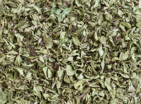 Dry thyme background