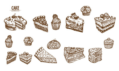 Digital vector detailed line art sliced cake