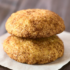 Homemade snickerdoodle cookies with cinnamon and sugar coating, photographed with natural light (Selective Focus, Focus on the front of both cookies)