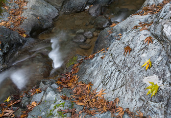 Water stream flowing in the river in autumn