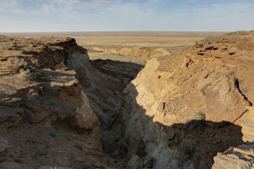 Fototapeta na wymiar View Mingbulak depression on the territory of Kyzylkum desert.Uzbekistan.