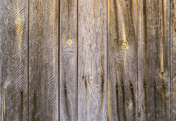 Fototapeta premium wooden wall