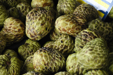 Annona squamosa fruit or Malay called buah nona. Also known as custard apple or sugar apple in English. 