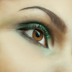 Beautiful woman eye close up with make up