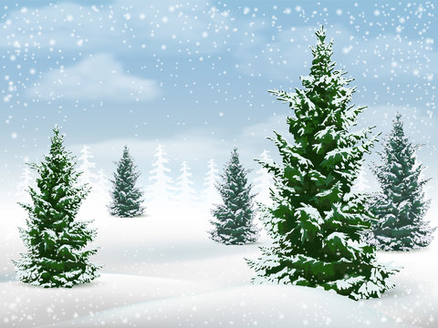 Winter landscape with fir trees. Frosty day in a pine forest. Vector background.