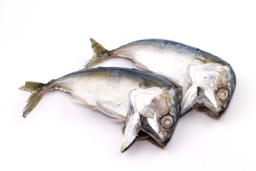  Mackerel fish on white background.