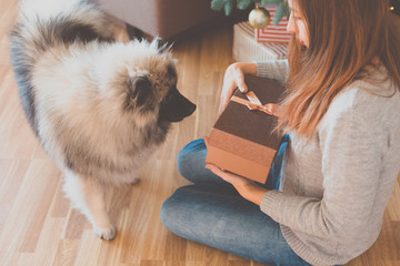 Woman and a dog sitting near the Christmas tree