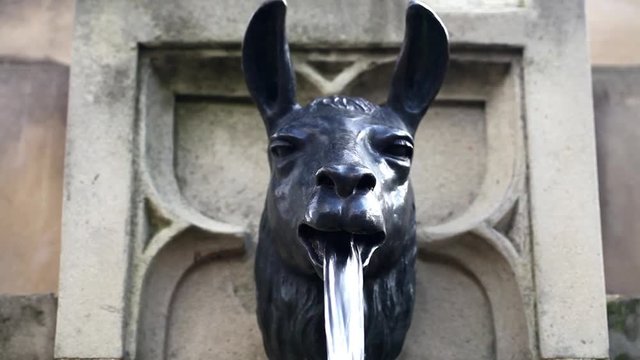 Animal Sculpture on Fountain in Frankfurt