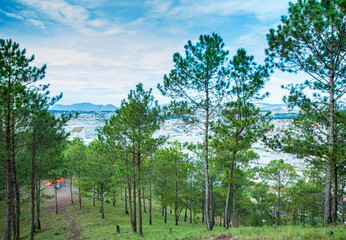 The view of the houses seen from the hill.