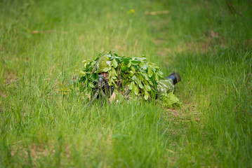 Naklejka na ściany i meble Camouflaged soldiers in forest during early spring on patrol