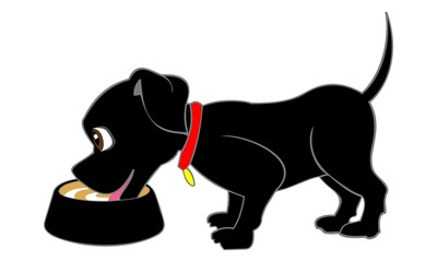 silhouette of drinking dog