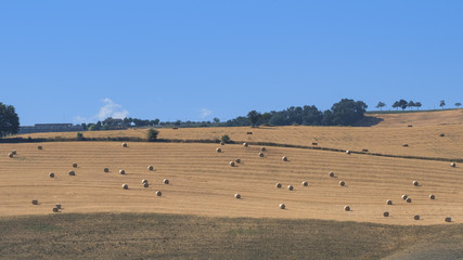 Landscape near Loreto Aprutino (Abruzzi) at summer